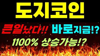 [도지코인 전망] 큰일났다!! 바로지금?! 1100% 상승가능!?