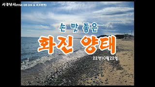 [동해서프루어](2022년10월22일) 손맛 좋은 화진 양태