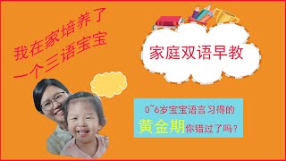 家庭双语启蒙/一个普通妈妈如何培养多语言宝宝/幼儿语言启蒙黄金期/유아 언어 교육/유아 중국어 교육