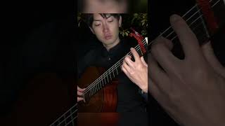 Zankyosanka - Aimer from Damon Slayer on guitar #guitar #classicalguitar #damonslayer