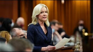 Former interim Conservative leader Candice Bergen steps down as MP