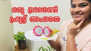 ഒരു ഡ്രാഗൺ ഫ്രൂട്ട് അപാരത/How to eat a DragonFruit#dragonfruit#Malayalamvideo#