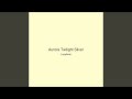 Aurora Twilight Silver