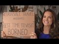 Best Time to Visit Borneo