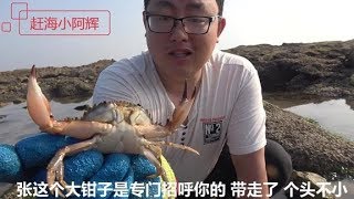 小伙赶海抓螃蟹遇海螺窝，抓到大货就很兴奋，很久没这么过瘾了