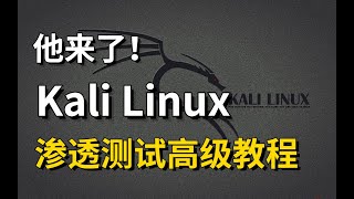 04 - 1.4 子域名信息收集 - Kali Linux网络安全渗透测试高级精品教程完整版(下)2022