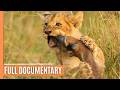 Battle for Survival - Lions vs. Hyenas in the Wild | Full Documentary