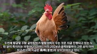 열리는 현실 - 6.라그나로크