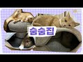 ⭐️고양이 용품 추천⭐️ 놀 때 휴식할 때 쓰는 아이템 편🐾캣폴 스크래쳐 터널 매트 숨숨집