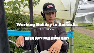 【Working Holiday in 🇦🇺 Australia】給料発表!!?30連勤の給料は?