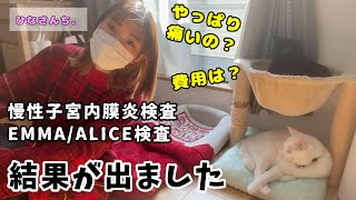 子宮内膜炎検査とEMMA/ALICE検査って痛いの！？費用は？？【不妊治療_vol.6】