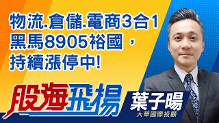 中視【股海飛揚】20210622 #葉子暘：物流.倉儲.電商3合1 黑馬8905裕國，持續漲停中! #中視 #中視新聞 #股海飛揚 #大華投顧