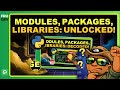 Python Modules vs Packages vs Libraries: Complete Guide for Every Developer