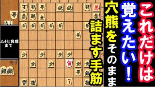 これだけは覚えたい！実戦に頻出。穴熊をそのまま詰ます手筋（実戦詰将棋・中級）