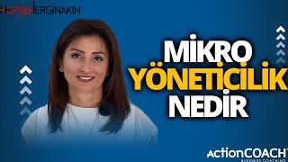 Mikro Yöneticilik Nedir