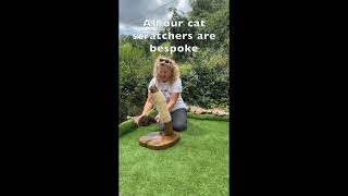 The Ocelot Cat Scratcher