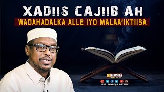 XADIIS CAJIIB AH, WADAHADALKA ALLE SW \u0026 MALAA'IKTIISA ⁴ᴷ┇ Sh. Mustafe Xaaji Ismaaciil