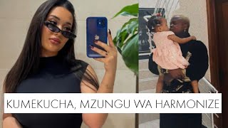 KIMENUKA! Harmonize Akiwa Ametulia Na Mtoto Wake Mpenzi Wake Mpya Acharuka Na Kupost Hili Jambo