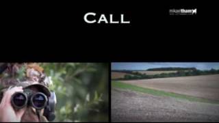 Mikael Tham - DVD Calling Roebucks