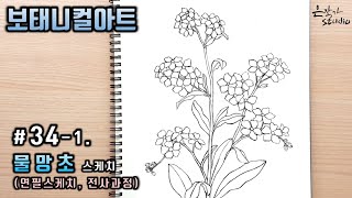 Flower Drawing Forget-Me-Not | 물망초 꽃그리기 | 꽃그림 배우기 34-1