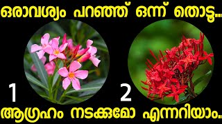 മനസ്സ് പറയുന്ന ഒരു ചിത്രം തൊടൂ..നിങ്ങൾക്ക് വരാൻ പോകുന്ന ഭാഗ്യങ്ങൾ അറിയാം.