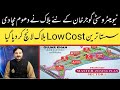 new metro city gujar khan low cost block | new metro city gujar khan | transparent properties