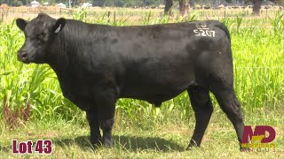 Lot 43 Merridale Stackhouse CMD21S207