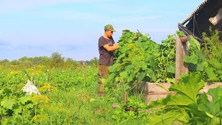 СОСЕДИ В ШОКЕ ОТ ЭТОГО ПАРНЯ, ДЕРЕВЕНСКАЯ ЖИЗНЬ КАК ОНА ЕСТЬ....