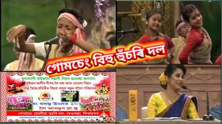 Gumseng Husori dol Amguri || গোমচেং বিহু হুঁচৰি দল || ৰং বসন্ত উৎসৱ ২০১৯