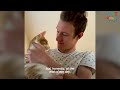 Cat Stops At Nothing To Be Around His Mom's Boyfriend  The Dodo