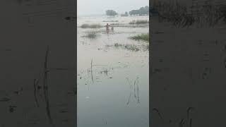 Gorakhpur baranagar ahirauli ratanpura gaon aur gaon me badh ke pani ka keher