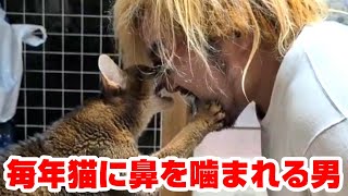 【4年目】猫に新年の挨拶したら噛まれる男【2025年】