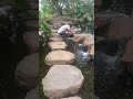 ఆస్ట్రేలియా లో water fall a waterfall in toowoomba australia waterfall travel nature picnic