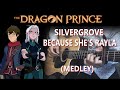 Silvergrove/Because She's Rayla - The Dragon Prince Fingerstyle Guitar Cover