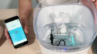 PETONEER UV 殺菌智能寵物飲水機 簡易教學