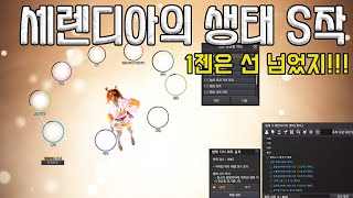 검은 사막 지식작 S작 세렌디아의 생태 [2024년]