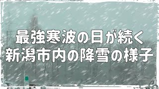 【最強寒波がついに到来？】2月5日の雪の様子と海外スタッドレスタイヤの軽いレビューをしました。The cold snap has arrived!