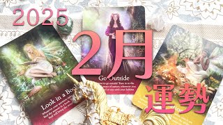 【リーディング】☆2025年2月の運勢☆自分の直感を信じて、よ～く調べてから、ゆっくりお出かけしよう！！【運勢占い】