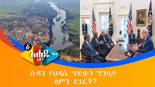 Ethiopia: የናይል ተፋሰስ ተለዋዋጭ የውሃ ፖለቲካ ሁኔታ - አሐዱ አባይ    Ahadu Radio 94.3