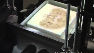 Brain slices of famous patient create 3D model
