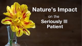 Nature's Impact on the Seriously Ill Patient