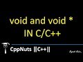 void and void Pointer In C/C++