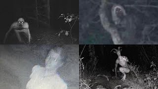 The Complete Cryptids Iceberg Explained (Part 1/2)