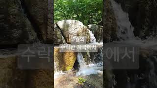 5월 수락산 계곡에서 시냇물 소리가 마음과 가슴을 시원케 한다