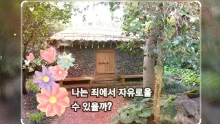 54. 나는 죄에서 자유로울 수 있을까?(말씀, 아침묵상) 하나님의 마음 심영주