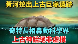 山海經再次印證！黃河挖出上古巨龜遺跡，奇特長相轟動科學界，上古神話絕非虛構，原來神話都是真的！【國學天地】#国学智慧#禅悟人生#老人言#国学文化#識人術#為人處世#人際關系