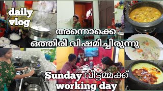 താങ്ങാൻ ആളുണ്ടെങ്കിൽ തളർച്ച കൂടും#food #dailyvlogs #morningroutine #food #kitchen #morningmotivation