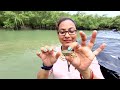 sundarban tour guide trip plan tour budget travel vlog sundarbans national park sundarbn tour