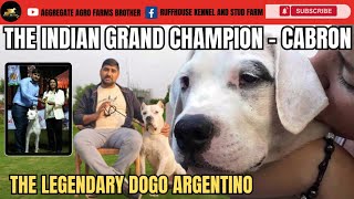 The Legend Unleashed: Grand Indian Champion Cabron | Aggregate Agro Farms