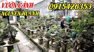 Thăm vườn cảnh Nguyễn Huynh-Văn Giang-Hưng Yên, thay da đổi thịt